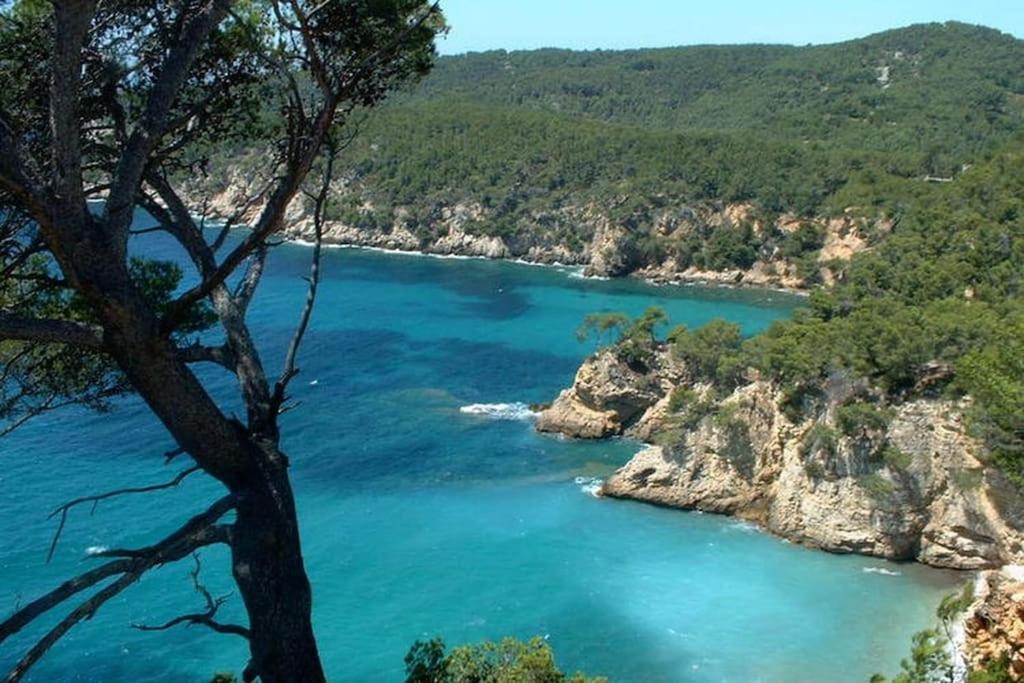 Tres Bel Appartement Climatise Terrasse Et Vue Mer Bandol Eksteriør bilde